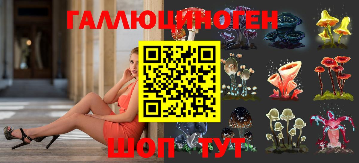цены   Галлюциногенные грибы GOLDEN TEACHER  Елизово  Вход с VPN  Псилоцибиновые грибы Psilocybine cubensis 